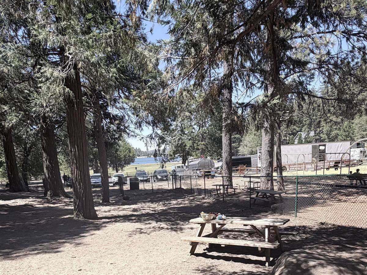 Shaded dirt dog park with a picnic table in the foreground; beyond the fence, cars and white production trailers fill the lot by the lake